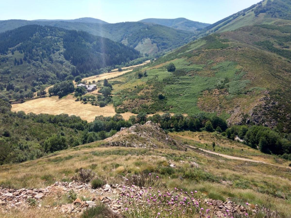 Mas Mialou Lägenhet Saint-Jean-du-Gard Exteriör bild