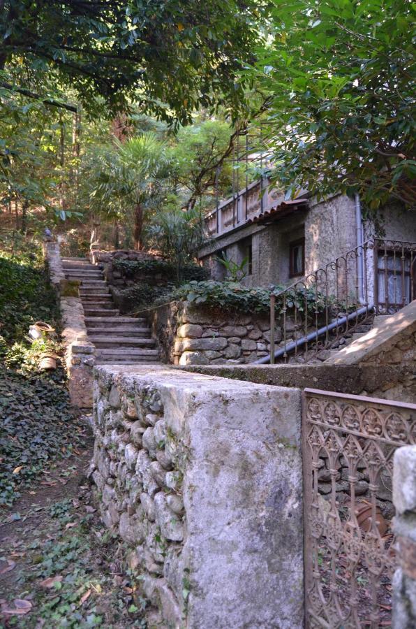 Mas Mialou Lägenhet Saint-Jean-du-Gard Exteriör bild